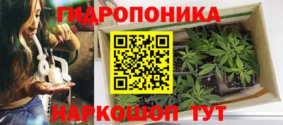 каннабис Заволжье